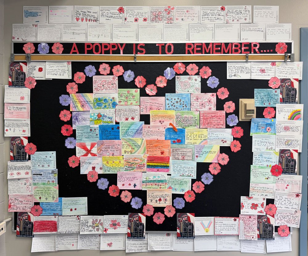 A Poppy is to Remember Display